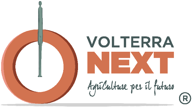 logo volterra next